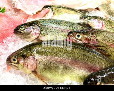 Frisch gefangener Regenbogenforelle auf Eis und zum Verkauf auf einem Fischmarkt auf der Isle of man Stockfoto
