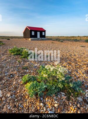 Die rote Schuppen am Kiesstrand am Rye Harbour, East Sussex. Stockfoto