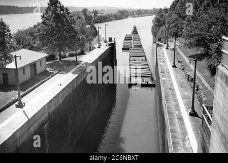 Arrow Transportation Company Diesel Schleppboot ATCO betritt Wilson Lock 5. Oktober 1946 auf Tennessee River Mile 259.4 in Florence, Ala. Die sechs Barger enthielten etwa 4,000 Tonnen Getreide aus St. Louis, Mo., geleitet zu Decatur und Guntersville, Ala. Das U.S. Army Corps of Engineers Nashville District betreibt und pflegt die Schleuse beim Tennessee Valley Authority Projekt Stockfoto