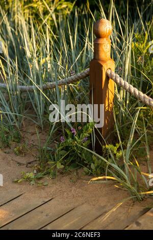 Nahaufnahme von Holzmast mit Seil auf einem Naturpfad entlang der Dünen. Stockfoto