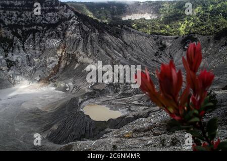 Lembang, Indonesien. Juli 2020. Ein Blick auf einen aktiven Krater am Berg Tangkuban Perahu Vulkan.Tangkuban Parahu Nature Tourism Park wurde für Touristen mit obligatorischen Gesundheitsprotokollen wieder geöffnet, die nach mehreren Monaten der Sperre aufgrund der Coronavirus-Krise folgen. Kredit: SOPA Images Limited/Alamy Live Nachrichten Stockfoto