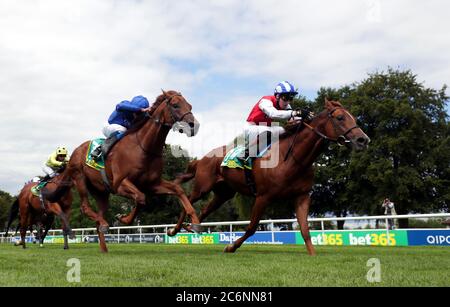 Gegründet geritten durch Jockey David Egan gewinnt die bet365 Meile Handicap am dritten Tag des Moet und Chandon Juli Festival auf Newmarket Racecourse. Stockfoto