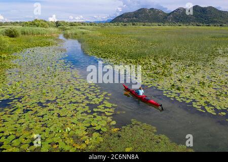 Frau im roten Kajak paddeln zwischen Seerosen auf dem Skadar-See, Montenegro Stockfoto