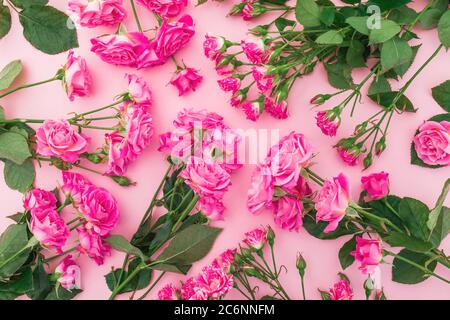 Blumenrosenmuster aus rosa Blüten auf pastellrosa Hintergrund. Flach liegend, Draufsicht. Stockfoto