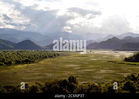 Schöne Landschaft von Rijeka Crnojevica Gebiet, Skadar See, Montenegro Stockfoto
