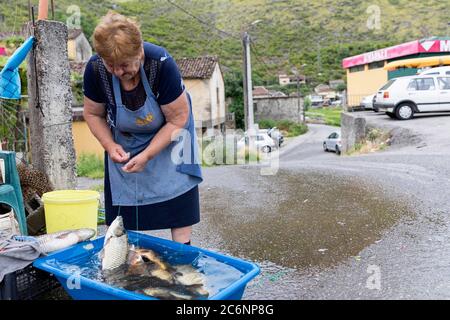 Fischmarkt am Straßenrand, Frau, die Süßwasserfische verkauft, die frisch im Skadar-See auf einem Stand gefangen wurden, Virpazar, Montenegro Stockfoto