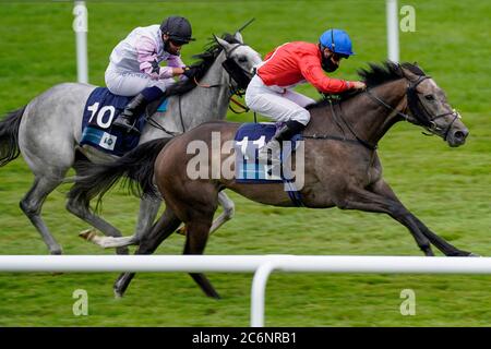 Indie Angel von Nicky Mackay gewinnt am dritten Tag des Moet and Chandon July Festivals auf der Newmarket Racecourse die britischen Hengststuds EBF-Stutfohlen. Stockfoto