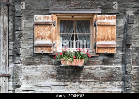 Fenster mit Fensterläden und Blumen in grau woodhouse Stockfoto