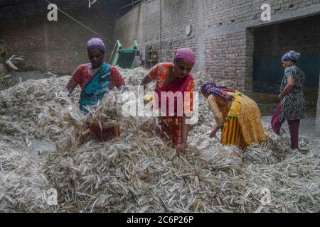 Narayanganj, Bangladesch. Juli 2020. Frauen arbeiten in einer Jute-Verarbeitungsfabrik in Narayanganj bei Dhaka, Bangladesch.Jute, auch bekannt als die goldene Faser von Bangladesch, spielt eine wichtige Rolle in der nationalen Wirtschaft. Achtzig Prozent der weltweit hochwertigen Jute wächst in Bangladesch. Jute wird bei der Herstellung von Tuch, Schal, Seilen, Teppich-Trägertuch, Büchsenbeutel und viele andere nützliche Dinge verwendet. Jute-Beutel sind sehr gut geeignet für das Verpacken von Lebensmittelkörnern. Kredit: SOPA Images Limited/Alamy Live Nachrichten Stockfoto