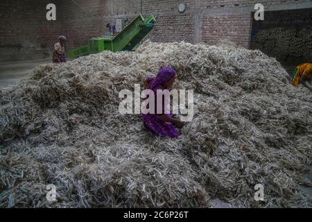 Narayanganj, Bangladesch. Juli 2020. Eine Frau arbeitet in einer Jute-Verarbeitungsfabrik in Narayanganj in der Nähe von Dhaka, Bangladesch.Jute, auch bekannt als die goldene Faser von Bangladesch, spielt eine wichtige Rolle in der nationalen Wirtschaft. Achtzig Prozent der weltweit hochwertigen Jute wächst in Bangladesch. Jute wird bei der Herstellung von Tuch, Schal, Seilen, Teppich-Trägertuch, Büchsenbeutel und viele andere nützliche Dinge verwendet. Jute-Beutel sind sehr gut geeignet für das Verpacken von Lebensmittelkörnern. Kredit: SOPA Images Limited/Alamy Live Nachrichten Stockfoto