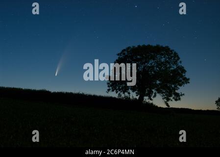 Der Komet C/2020 F3 (NEOWISE) leuchtet in der frühen Morgenröte von Cornwall, Großbritannien Stockfoto