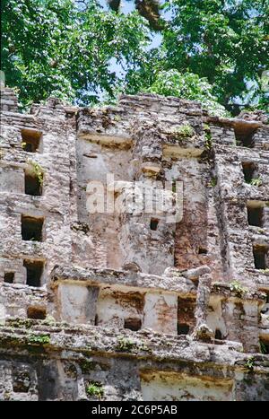 Geschnitzte Figur in der Nähe der Spitze des Königspalastes. Struktur 33 Yaxchilan Maya Ruinen. Chiapas, Mexiko. Vintage-Bild, das Anfang der 1990er Jahre auf Kodak Film aufgenommen wurde. Stockfoto