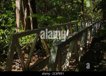 Brücke auf dem La Cangreja Trail im Rincon de la Vieja Nationalpark bei Curubande in Costa Rica, Mittelamerika Stockfoto