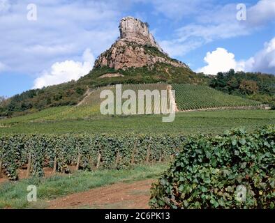 Felsen von Solutre mit den weinbergen von pouilly-fuisse, Burgund, Frankreich, Europa Stockfoto