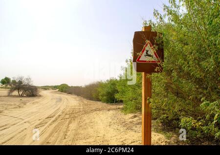 Wildtier Kreuzung Straßenschild. Wilder Oryx, Antilope, Gazelle Straßenschild neben leerer Wüstenstraße mit blauem Himmel Stockfoto