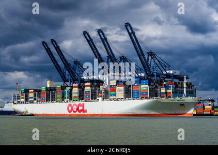 OOCL Deutschland Containerschiff - OOCL Containerschiff OOCL Deutschland entlädt Container im Hafen Felixstowe, Großbritannien. OOCL ist eine in Hongkong ansässige Reederei. Stockfoto