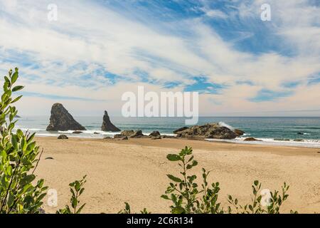 Grünflächen Rahmen Blick auf Needle Rock und Meer Stapel am Bandon Beach in Oregon Stockfoto