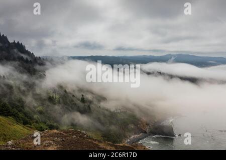 Nebel rollt vom Meer über baumbedeckten Küstenhügeln in Oregon ein Stockfoto