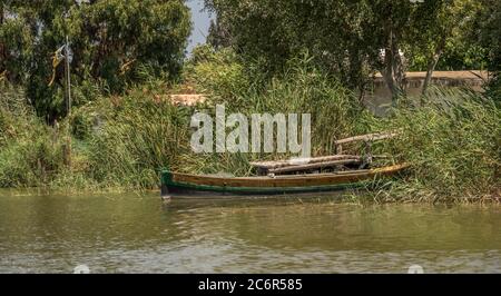 Gruppe von traditionellen Holzbooten. Lateinische Segelschiffe, im Hafen der Albufera in Valencia Spanien Stockfoto