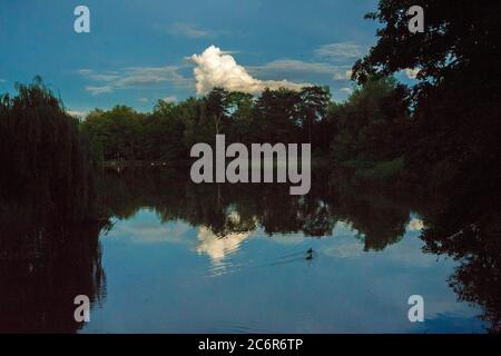 Posen, Wielkopolska, Polen. Juli 2020. Der Abend und Sonnenuntergang des Sommertages. Im Bild: Stockenten - Anas platyrhynchos. Kredit: Dawid Tatarkiewicz/ZUMA Wire/Alamy Live Nachrichten Stockfoto