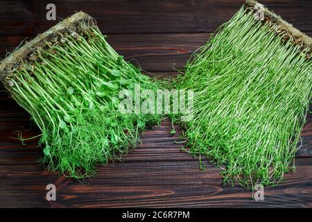 Gemischte Microgreens aus Klee und Erbse in Box auf Holztisch Hintergrund. Stockfoto