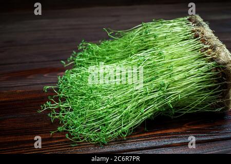 Kleeblatt Sprossen auf Holz Tisch Hintergrund. Gekeimt Gemüsesamen für rohe Ernährung Lebensmittel, Micro Green gesunde Ernährung Konzept Stockfoto