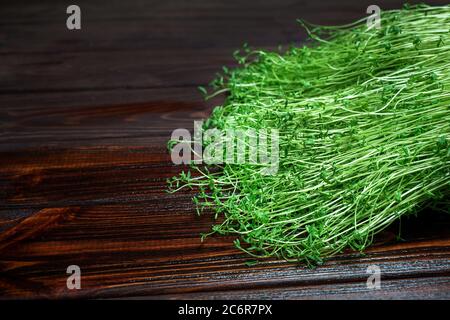 Kleeblatt Sprossen auf Holz Tisch Hintergrund. Gekeimt Gemüsesamen für rohe Ernährung Lebensmittel, Micro Green gesunde Ernährung Konzept Stockfoto