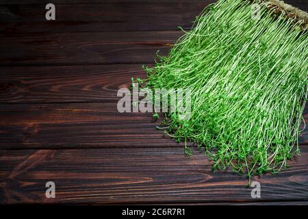 Kleeblatt Sprossen auf Holz Tisch Hintergrund. Gekeimt Gemüsesamen für rohe Ernährung Lebensmittel, Micro Green gesunde Ernährung Konzept Stockfoto