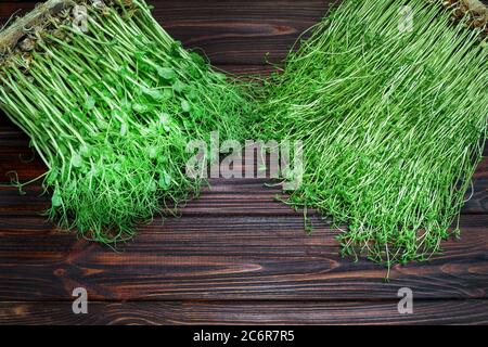 Gemischte Microgreens aus Klee und Erbse in Box auf Holztisch Hintergrund. Stockfoto