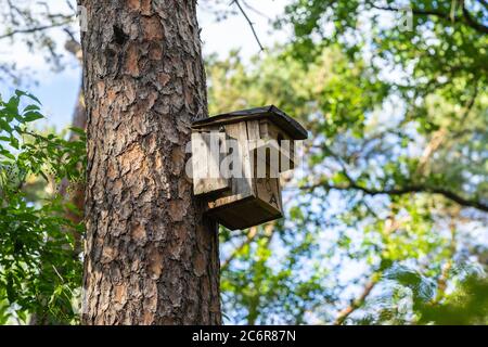 Eine hölzerne Vogelnistkiste, die an einem Nadelbaum im kleinen Wald Königsheide in Berlin montiert ist, um Vögel in die Gegend, Deutschland, Europa zu ermutigen Stockfoto