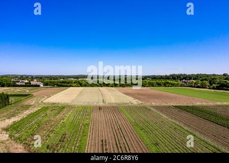 Luftaufnahme der Felder in Water Mill, NY Stockfoto