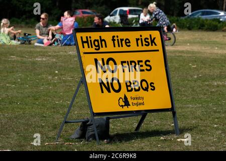 New Forest, Hampshire, Großbritannien. 11. Juli 2020, Schilder, die an die Regeln der forstkommission erinnern, New Forest, Hampshire Credit: Dawn Fletcher-Park/Alamy Live News Stockfoto