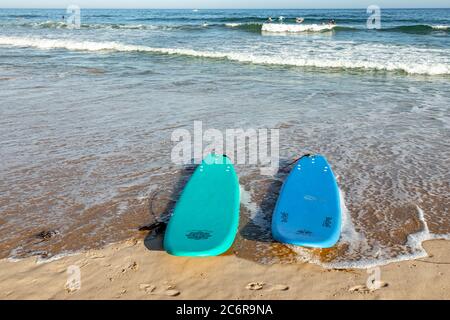 Ein paar Surfbretter, an einem Strand in Montauk, NY Stockfoto