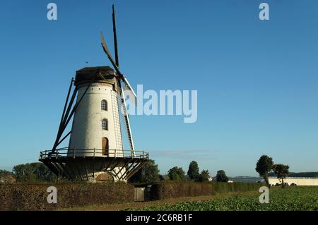 Alte Windmühle Stockfoto