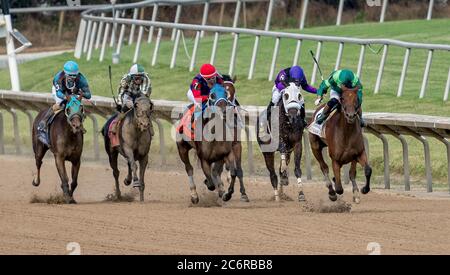 New Stanton, DE, USA. Juli 2020. 11. Juli 2020: Dunbar Road #2, geritten von Irad Ortiz, Jr., gewinnt den Delaware Handicap am Delaware Handicap Day im Delaware Park in New Stanton, Delaware. Scott Serio/Eclipse Sportswire/CSM/Alamy Live News Stockfoto