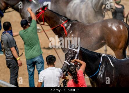 New Stanton, DE, USA. Juli 2020. 11. Juli 2020: Pferde werden nach dem schneidigen Beauty Stakeson Delaware Handicap Day im Delaware Park in New Stanton, Delaware, mit Wasser besprüht. Scott Serio/Eclipse Sportswire/CSM/Alamy Live News Stockfoto