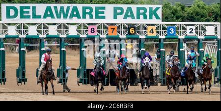 New Stanton, DE, USA. Juli 2020. 11. Juli 2020: Das Feld bricht beim Delaware Handicap Day am Delaware Handicap Day im Delaware Park in New Stanton, Delaware, vom Tor aus. Scott Serio/Eclipse Sportswire/CSM/Alamy Live News Stockfoto