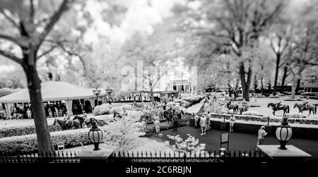 New Stanton, DE, USA. Mai 2014. 11. Juli 2020: Pferde verlassen das Fahrerlager vor dem sechsten Rennen am Delaware Handicap Day im Delaware Park in New Stanton, Delaware. Scott Serio/Eclipse Sportswire/CSM/Alamy Live News Stockfoto