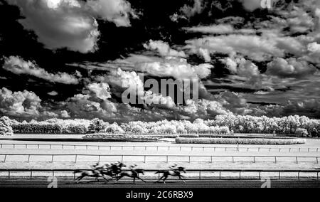 New Stanton, DE, USA. Mai 2014. 11. Juli 2020: Pferde verlassen das Fahrerlager vor dem sechsten Rennen am Delaware Handicap Day im Delaware Park in New Stanton, Delaware. (Bild gemacht Infrarotsensor Kamera) Scott Serio/Eclipse Sportswire/CSM/Alamy Live News Stockfoto