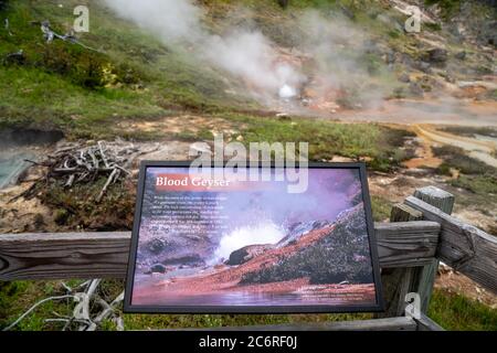 Yellowstone National Park, Wyoming - 28. Juni 2020: Deutungszeichen für Blut Geysir, ein geothermisches Merkmal entlang der Artist Paint Point Trail in der Stockfoto