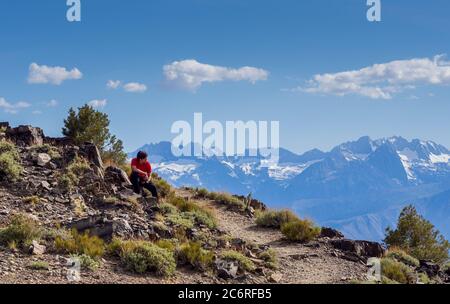 Ancient Bristlecone Pine Forest Stockfoto