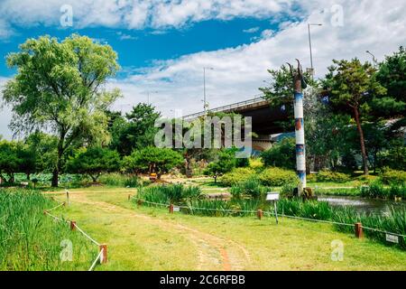 Yangpieong, Korea - 3. Juli 2020 : Semiwon Garten im Sommer Stockfoto