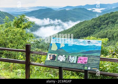 Wolken hängen tief in den Blue Ridge Mountains, von der Hog Pen Gap aus gesehen, blicken auf den Richard B. Russell Scenic Highway in Nord-Georgia. (USA) Stockfoto