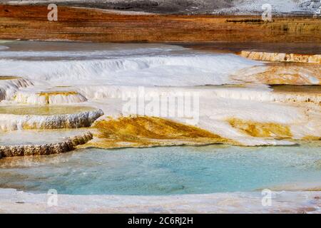 Nahaufnahme der heißen Quellen und Travertin-Formationen auf der Hauptterrasse von Mammoth Hot Springs im Yellowstone National Park, USA. Stockfoto