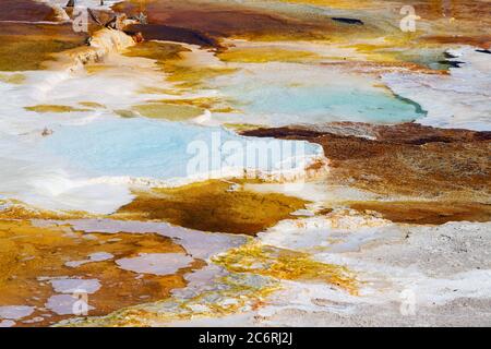 Nahaufnahme der heißen Quellen und Travertin-Formationen auf der Hauptterrasse von Mammoth Hot Springs im Yellowstone National Park, USA. Stockfoto