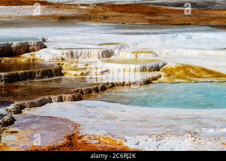 Nahaufnahme der heißen Quellen und Travertin-Formationen auf der Hauptterrasse von Mammoth Hot Springs im Yellowstone National Park, USA. Stockfoto