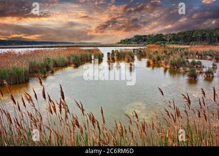 Ravenna, Emilia-Romagna, Italien: Landschaft bei Sonnenuntergang des Sumpfes im Naturschutzgebiet Po Delta Park an der Adriaküste Stockfoto