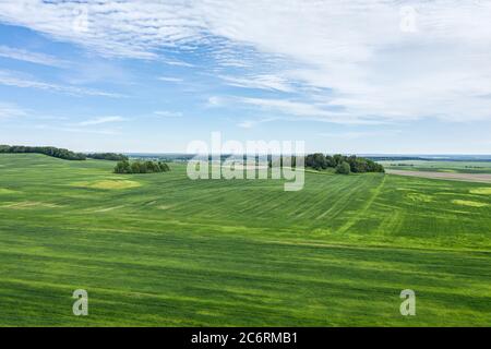 Natürliche ländliche Landschaft im Sommer, Europa, Weißrussland. Luftpanorama von fliegenden Drohnen Stockfoto