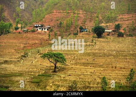 Trockene landwirtschaftliche Felder Nepals, von einer Straße aus gesehen, die die Provinzen Gandaki Pradesh und Bagmati Pradesh verbindet. Stockfoto