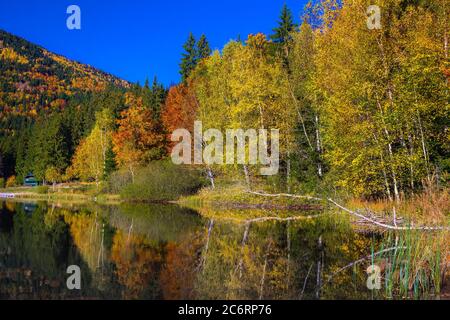 Wunderschöne Herbstlandschaft mit bunten Laubbäumen im Wald und berühmten Vulkansee. Majestätische touristische und Reise Ort mit Saint Ana la Stockfoto